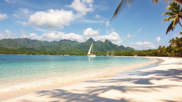 Top stratégies pour réussir votre investissement à l'île Maurice